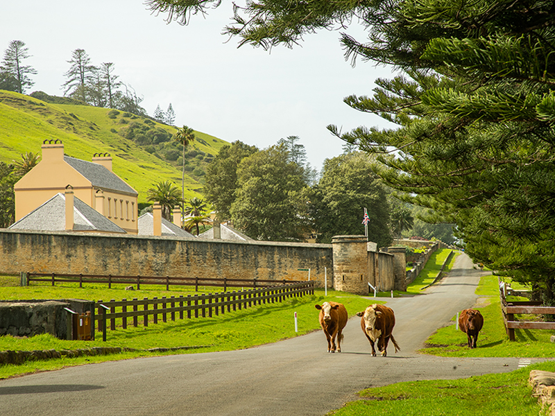 Norfolk Island