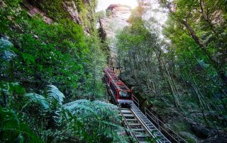 Scenic World 3 Blue Mountains